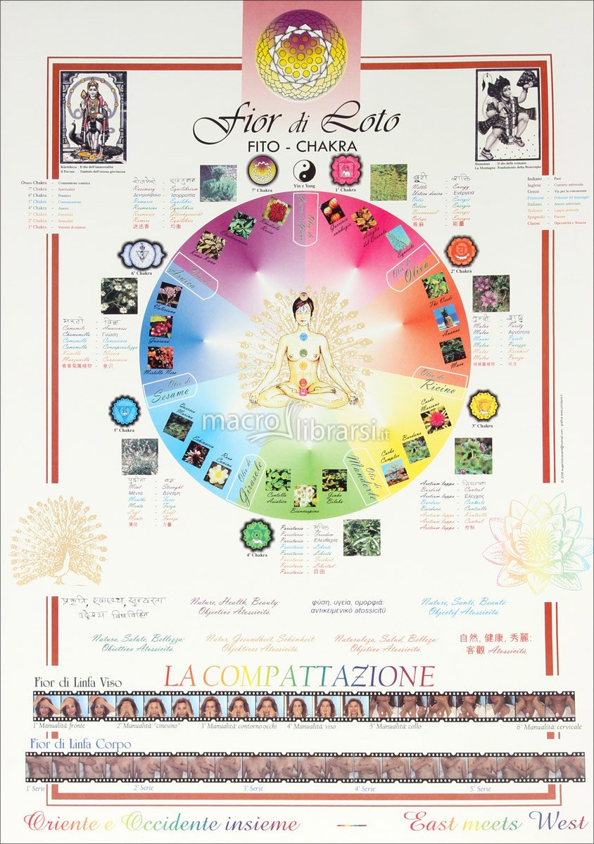 Poster Fito Chakra